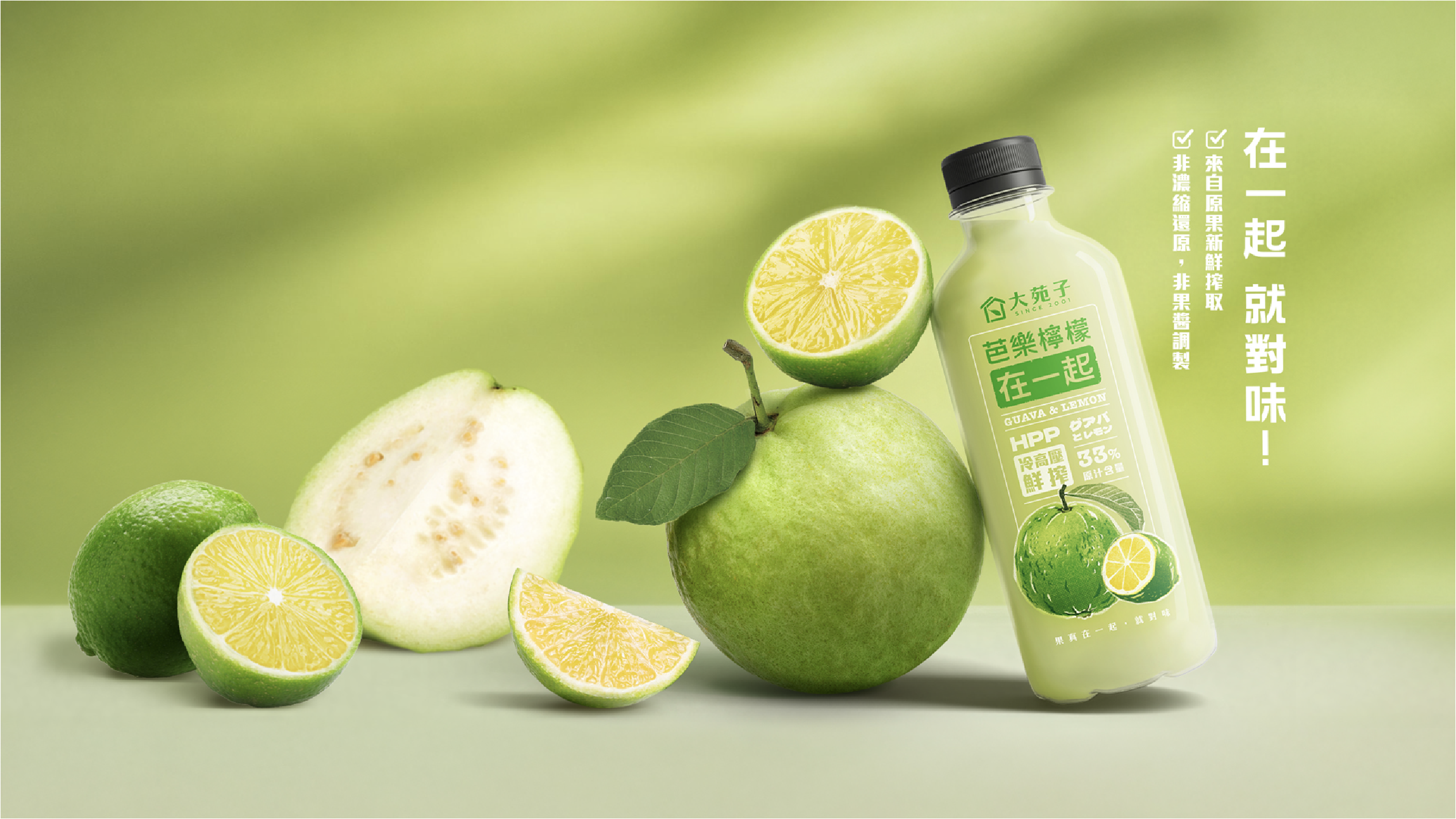 大苑子品牌視覺設計與包裝